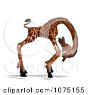 Clipart 3d Accident Prone Clumsy Giraffe 4 Royalty Free CGI Illustration by Ralf61
