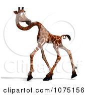 Clipart 3d Accident Prone Clumsy Giraffe 5 Royalty Free CGI Illustration by Ralf61