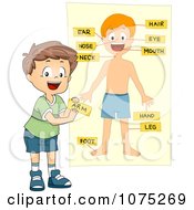 Poster, Art Print Of School Boy Tagging Body Parts On A Chart