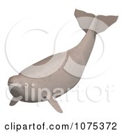 Clipart 3d Tan Beluga Whale Calf 4 Royalty Free CGI Illustration by Ralf61