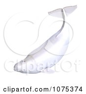 Clipart 3d White Female Beluga Whale 2 Royalty Free CGI Illustration by Ralf61