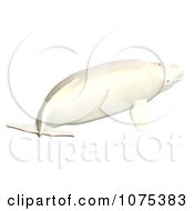 Clipart 3d White Male Beluga Whale 3 Royalty Free CGI Illustration by Ralf61