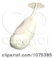 Clipart 3d White Male Beluga Whale 5 Royalty Free CGI Illustration by Ralf61