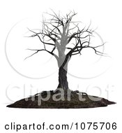 Clipart 3d Creepy Bare Tree 2 Royalty Free CGI Illustration by Ralf61