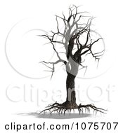 Clipart 3d Creepy Bare Tree 3 Royalty Free CGI Illustration