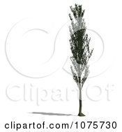 Clipart 3d Italian Church Tree Royalty Free CGI Illustration