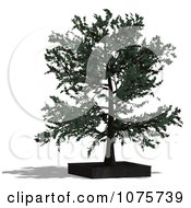 Clipart 3d Bonsai Tree In A Planter 1 Royalty Free CGI Illustration