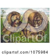 Poster, Art Print Of A Family Of Lions In Grass