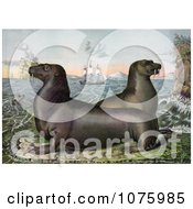 Poster, Art Print Of Two Sea Lions With Ships In The Distance