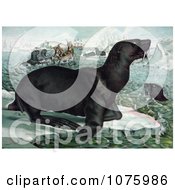 Poster, Art Print Of Sea Lions On Ice Bergs Near Ships