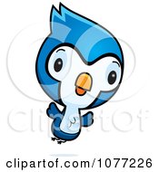 Poster, Art Print Of Cute Baby Bluejay Flying