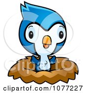 Clipart Cute Baby Bluejay Chick In A Nest Royalty Free Vector Illustration