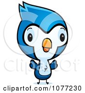 Poster, Art Print Of Cute Baby Bluejay Chick