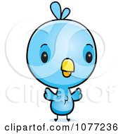Poster, Art Print Of Cute Baby Blue Jay Chick