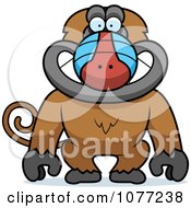 Poster, Art Print Of Smiling Baboon Monkey