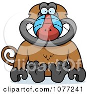 Poster, Art Print Of Sitting Baboon Monkey