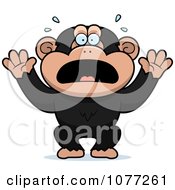 Clipart Frightened Chimp Monkey Royalty Free Vector Illustration