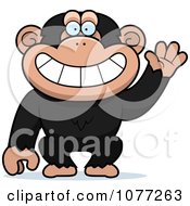 Poster, Art Print Of Friendly Waving Chimp Monkey