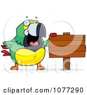 Poster, Art Print Of Parrot Standing By A Blank Wooden Sign Post