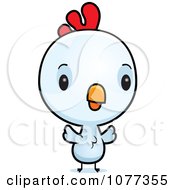 Poster, Art Print Of Cute Baby White Rooster Chick