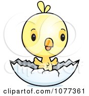 Poster, Art Print Of Cute Baby Yellow Chick Hatching