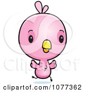 Poster, Art Print Of Cute Baby Pink Chick Running