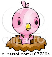 Clipart Cute Baby Pink Chick In A Nest Royalty Free Vector Illustration