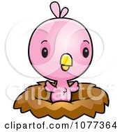 Poster, Art Print Of Cute Baby Pink Chick In A Nest