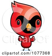Cute Red Baby Cardinal Chick