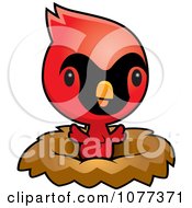 Poster, Art Print Of Cute Red Baby Cardinal Chick In A Nest