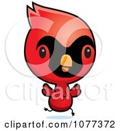 Poster, Art Print Of Cute Red Baby Cardinal Chick Running