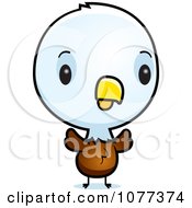 Poster, Art Print Of Cute Baby Bald American Eagle Chick