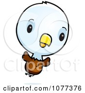 Poster, Art Print Of Cute Baby Bald American Eagle Chick Flying