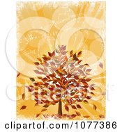 Poster, Art Print Of Fall Tree With Autumn Leaves Over Orange Grunge