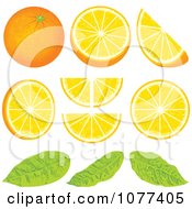 Poster, Art Print Of Orange Wedge Fruit Design Elements