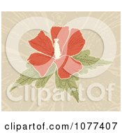Poster, Art Print Of Red Hibiscus Flower Over Tan