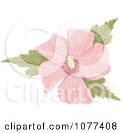 Poster, Art Print Of Pink Hibiscus Flower