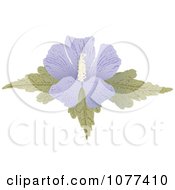 Poster, Art Print Of Purple Hibiscus Flower