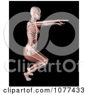 Clipart 3d Female Medical Skeleton Doing A Yoga Pose 1 Royalty Free CGI Illustration