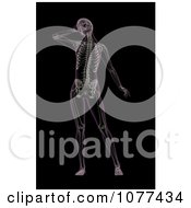 Clipart 3d Womans Skeleton With A Head Ache Royalty Free CGI Illustration
