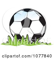 Poster, Art Print Of Soccer Ball On Grass