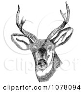 Poster, Art Print Of Deer With Antlers