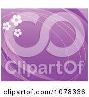 Clipart Floral Background Of Daisies On Purple With Copyspace Royalty Free Vector Illustration by elena