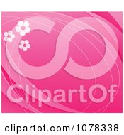 Poster, Art Print Of Floral Background Of Daisies On Pink With Copyspace