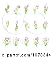 Poster, Art Print Of Purple And Green Floral Logos With Reflections