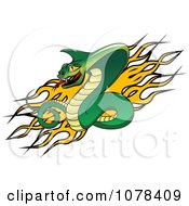 Poster, Art Print Of Aggressive Viper Snake And Flames Logo