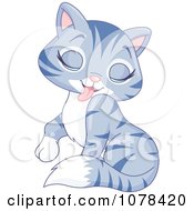 Clipart Cute Grooming Blue Tabby Kitten Licking Her Shoulder Royalty Free Vector Illustration by Pushkin