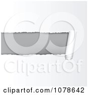 Clipart Curling Piece Of Ripped White Paper Revealing Gray Royalty Free Vector Illustration