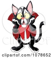 Poster, Art Print Of Dracula Vampire Cat With A Shocked Expression