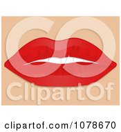 Clipart 3d Womans Red Plump Lips Slightly Open Royalty Free Vector Illustration by elaineitalia